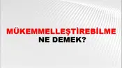 Mükemmelleştirebilme
