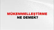 Mükemmelleştirme