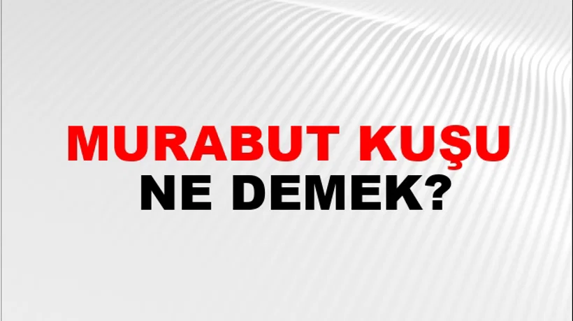 Murabut Kuşu Murabut Kuşu
