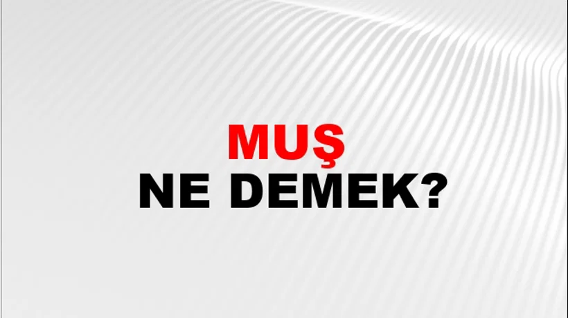 Muş Muş