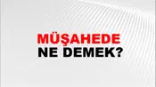 Müşahede