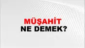 Müşahit