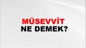 Müsevvit