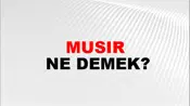 Musır