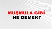 Muşmula Gibi