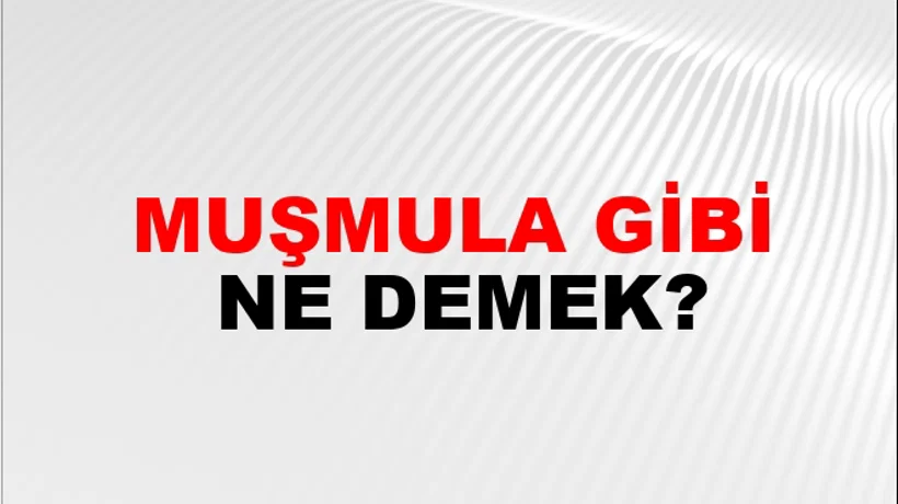 Muşmula Gibi Muşmula Gibi