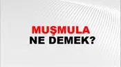 Muşmula