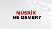 Müşrik