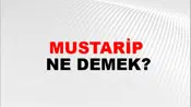 Mustarip