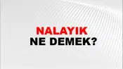 Nalayık