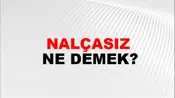 Nalçasız
