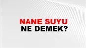 Nane Suyu