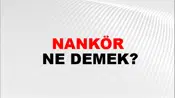 Nankör