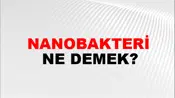 Nanobakteri