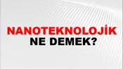 Nanoteknolojik