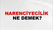 Narenciyecilik