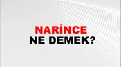 Narince