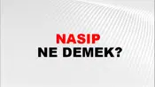 Nasıp