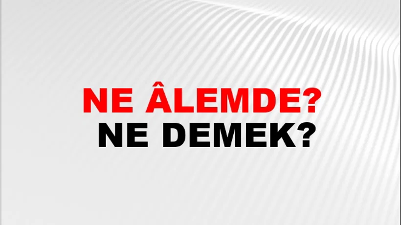 Ne Âlemde? Ne Âlemde?