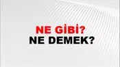 Ne Gibi?
