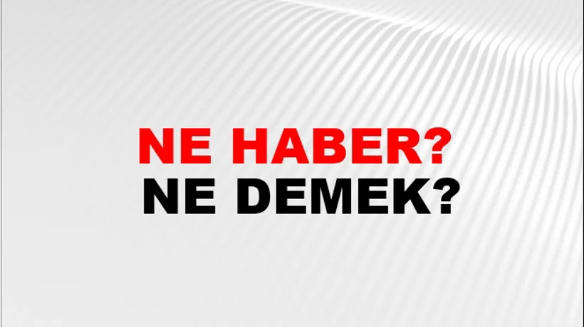 Ne Haber? Ne Haber?
