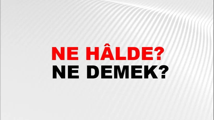Ne Hâlde? Ne Hâlde?