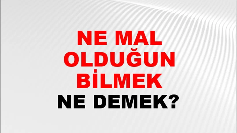 Ne Mal Olduğunu Bilmek (Veya anlamak) Ne Mal Olduğunu Bilmek (Veya anlamak)