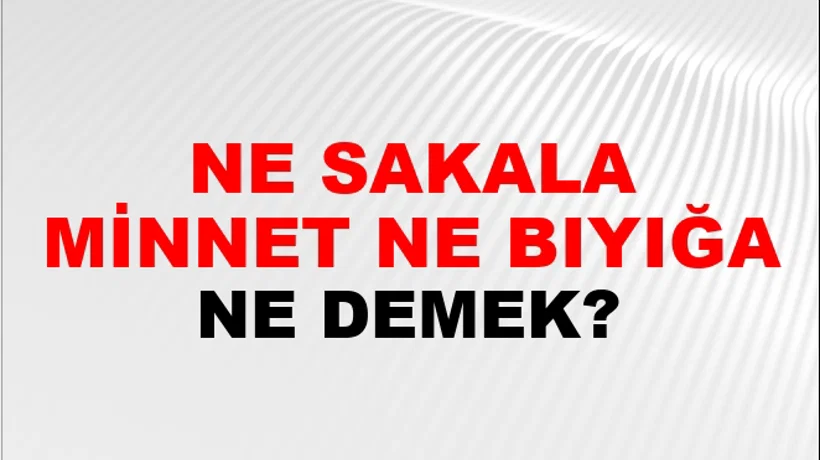 Ne Sakala Minnet Ne Bıyığa Ne Sakala Minnet Ne Bıyığa
