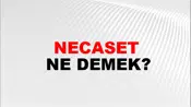 Necaset