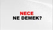 Nece