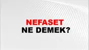 Nefaset