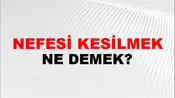Nefesi Kesilmek (Veya daralmak veya tutulmak)