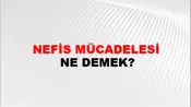 Nefis Mücadelesi