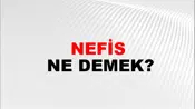 Nefis
