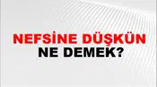 Nefsine Düşkün