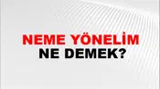 Neme Yönelim