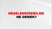 Neşelendirebilme