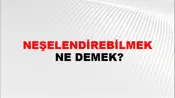 Neşelendirebilmek