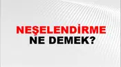 Neşelendirme