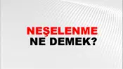 Neşelenme