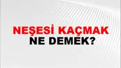 Neşesi Kaçmak