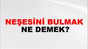 Neşesini Bulmak