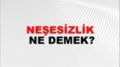 Neşesizlik
