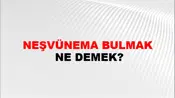Neşvünema Bulmak