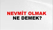 Nevmit Olmak