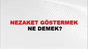 Nezaket Göstermek