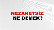 Nezaketsiz