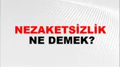 Nezaketsizlik