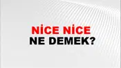 Nice Nice