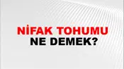Nifak Tohumu